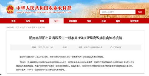 邵阳新闻爆料平台电话是多少,市民知情渠道再拓宽  第3张